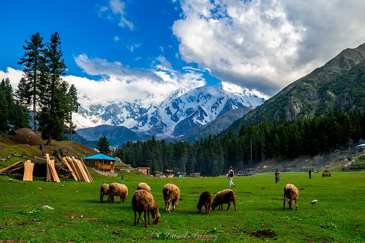 fairymeadows